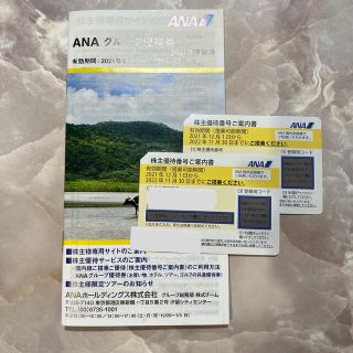 エーエヌエー(ゼンニッポンクウユ)(ANA(全日本空輸))のANA株主優待券　2枚(その他)