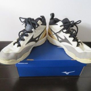 激レアMIZUNO RunBird ATHLETIC FOOTWEAR 27.0