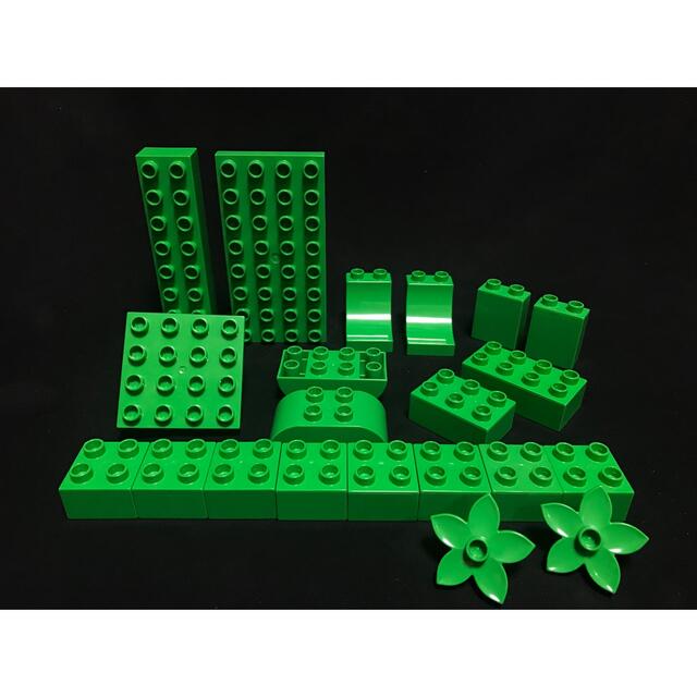 Lego(レゴ)のデュプロ 緑 グリーン 基礎 ロング 花 反り カーブ 拡張用ブロックセット エンタメ/ホビーのおもちゃ/ぬいぐるみ(その他)の商品写真