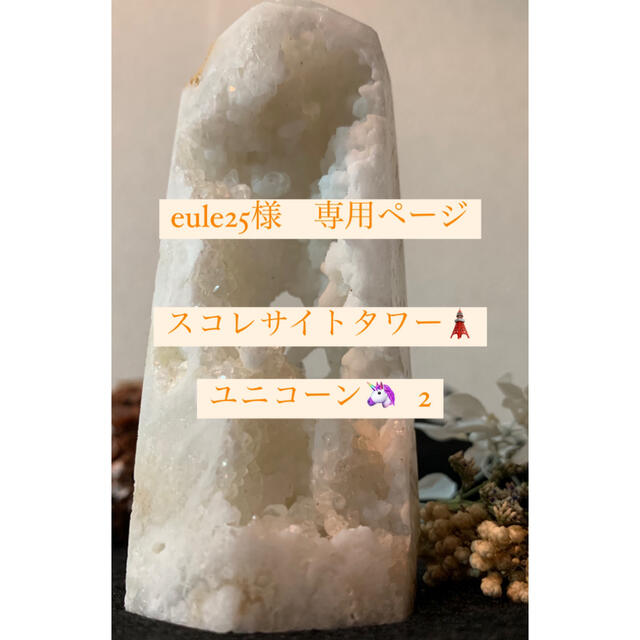 eule25様　専用ページ🦄🌊 その他のその他(その他)の商品写真