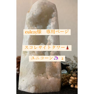 eule25様　専用ページ🦄🌊(その他)