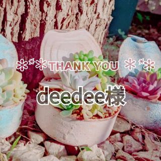 deedee様✩*॰ 多肉植物３種(その他)