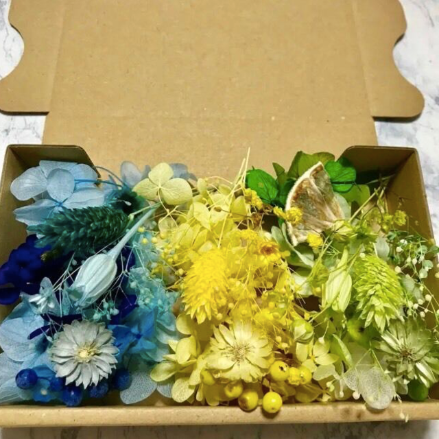 激かわ6色チーゼルフラワー2箱セット＊花材詰め合わせ ハンドメイドのフラワー/ガーデン(ドライフラワー)の商品写真