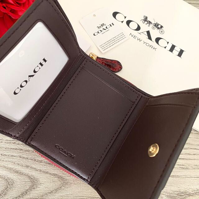 COACH(コーチ)の専用 レディースのファッション小物(財布)の商品写真