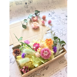 夏祭り＊ヘリクリサムと千日紅＊花材詰め合わせ(プリザーブドフラワー)