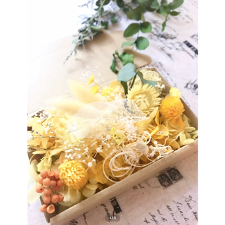 夏のyellow！シルバーデージーと千日紅＊花材詰め合わせ(プリザーブドフラワー)