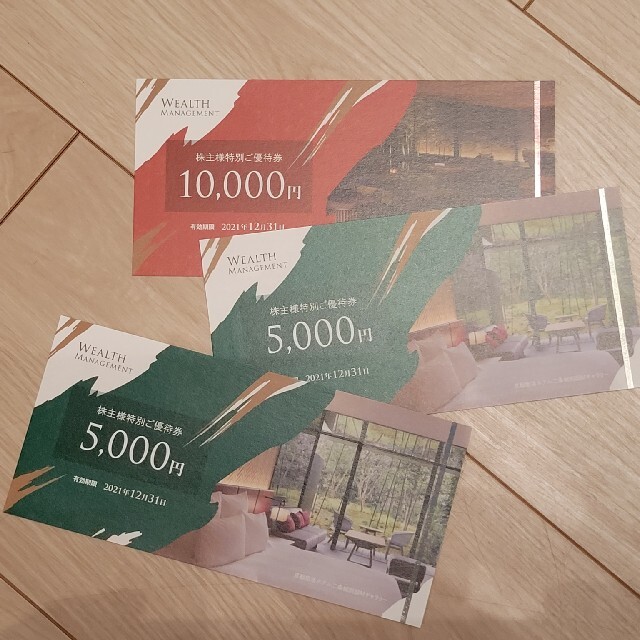 ウェルスマネジメント 株主優待券 2万円 特別セーフ www.amstedmaxion