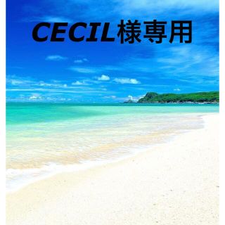 CECIL様専用(カード)