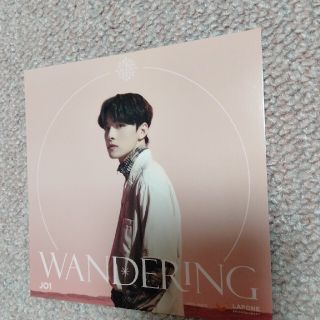 JO1 WANDERING アザジャケ 川西拓実(アイドルグッズ)