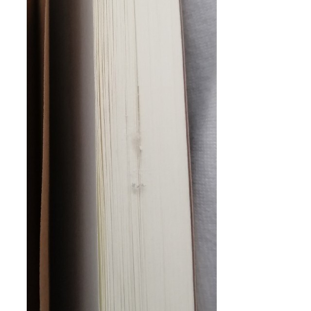 【中古　値下中】５２ヘルツのクジラたち　古本 エンタメ/ホビーの本(文学/小説)の商品写真