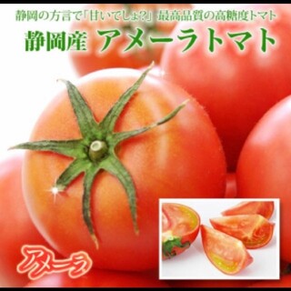 もも様専用アメーラトマト6ケース(野菜)