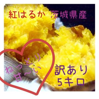 さつまいも　紅はるか　茨城県産　5kg(米/穀物)