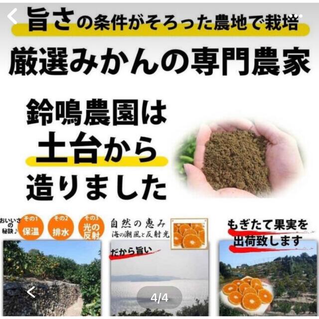 有田みかん　10キロー 食品/飲料/酒の食品(フルーツ)の商品写真