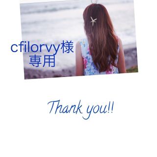 cfilorvy様専用ページ　12/16以降クーポン発行時までお取り置き(ロングスカート)