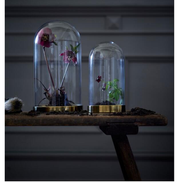 IKEA(イケア)のIKEA ガラスドーム インテリア/住まい/日用品のインテリア小物(花瓶)の商品写真