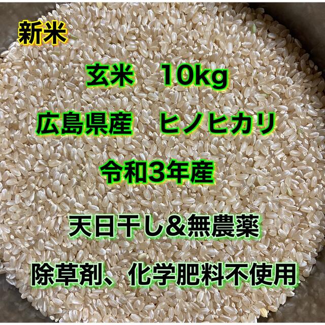 特売 もち白米10kg はぜかけ米 天日干し 自然乾燥 石川ファーム自然栽培米 無農薬 R4年米