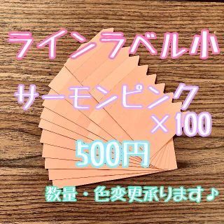 ◎ 100枚 ◎ 肌 ( 小 ) ラインラベル 園芸ラベル カラーラベル(プランター)