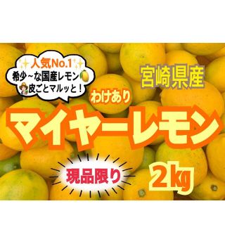 【訳あり】マイヤーレモン2㎏/レモン　国産レモン　みかん　きんかん　果物　お得品(フルーツ)