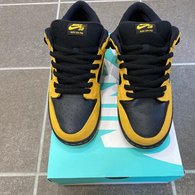 Nike Dunk SB Low IOWA 27.5cm - coastalcareeracademy.com