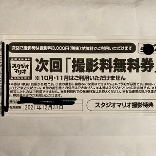 スタジオマリオ 撮影無料券(ショッピング)