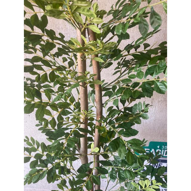 光触媒　人工観葉植物　ウォールグリーン　フェイク　アレンジ　トネリコ128 4