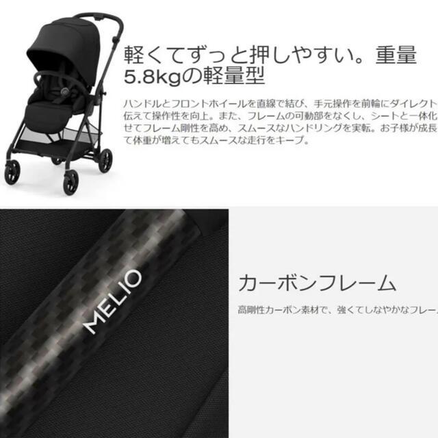 サイベックス メリオカーボン 2021年モデル | www.innoveering.net
