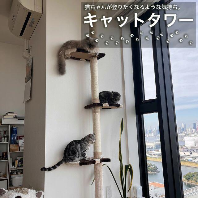 キャットタワー 猫ツリー 猫ちゃんタワー 猫タワー キャットランド キャットポー