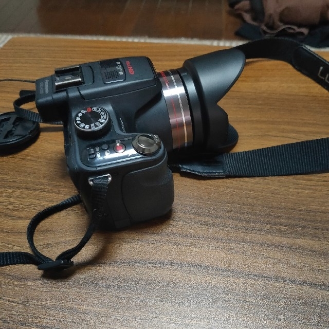 Panasonic LUMIX FZ DMC-FZ100 プロテクトレンズ付き | www.flyforreal.com
