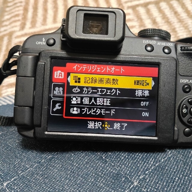 Panasonic LUMIX FZ DMC-FZ100 プロテクトレンズ付き | www.flyforreal.com