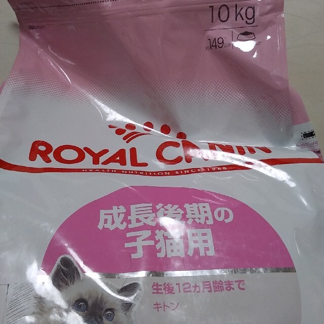 ロイヤルカナン　キトン　10Kg　子猫用