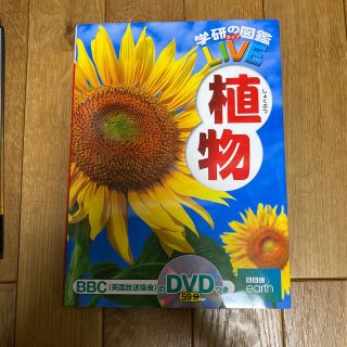 ガッケン(学研)の学研の図鑑　LIVE  植物　DVD付き(絵本/児童書)