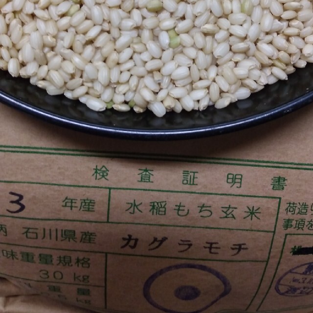 人気新品入荷 もち米　玄米30kg 米/穀物