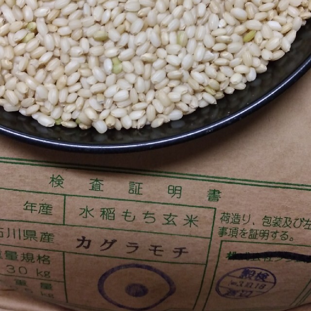 もち米　玄米30kg　検査証明１等