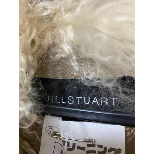 JILLSTUART(ジルスチュアート)のJILL STUART ファーベスト レディースのジャケット/アウター(毛皮/ファーコート)の商品写真