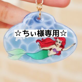 ディズニー(Disney)の☆ちぃ様専用ページ☆(オーダーメイド)