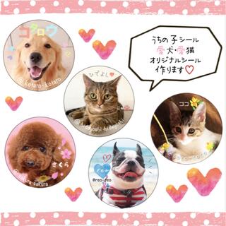 ♡うちの子シール♡名入れ　愛犬　愛猫　サンキューシール　ペットシール　オーダー(その他)
