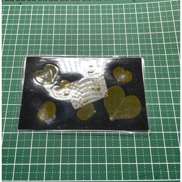 龍神お守り⭐️ハートの葉 龍神お守り⭐️ハートの葉