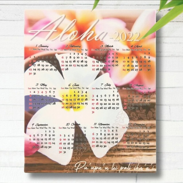 花カレンダー22 プルメリア フラワー ハワイアンおしゃれ壁掛けかわいいの通販 By れんと Shop ラクマ