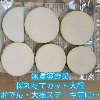 無農薬野菜＊採れたてカット大根＊約750〜800g✳︎ネコポス＊おでん等に＊(野菜)