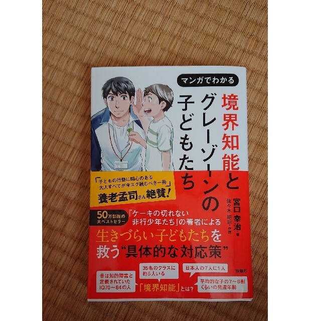 マンガでわかる境界知能とグレーゾーンの子どもたち エンタメ/ホビーの本(人文/社会)の商品写真