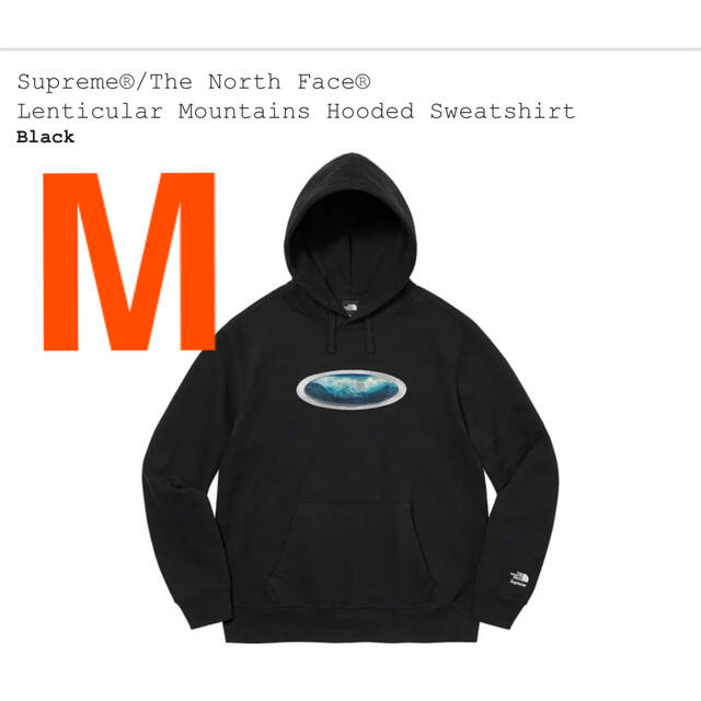 Supreme The North Face コラボパーカー　M