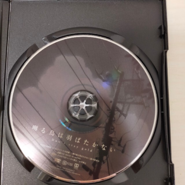 囀る鳥は羽ばたかない ヨネダコウの通販 By ちゃめ S Shop ラクマ Cd Dvd 在庫大人気 Alawyerslife Com