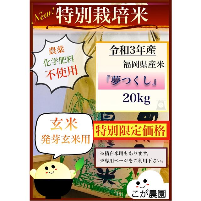 美味しい特別栽培米　福岡県産米『夢つくし』　20kg 【玄米専用】令和3年産　新米