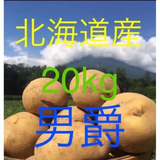 北海道産訳ありじゃがいも男爵20kg(野菜)
