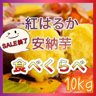 さつまいも食べくらべ10kg 『紅はるか×安納芋』(野菜)