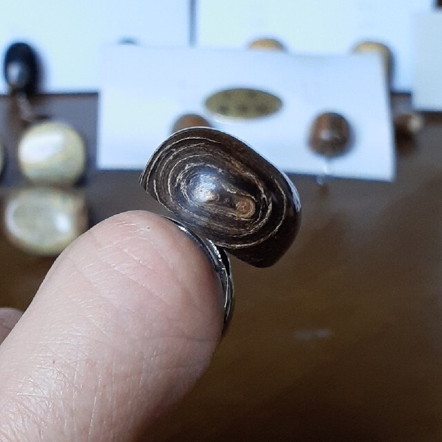 206.青珊瑚(レインボーコーラル)のリング レディースのアクセサリー(リング(指輪))の商品写真