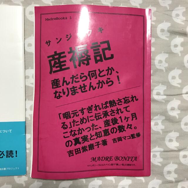 3冊セット マドレボニータ 別冊マドレジャーナルvol.1 産後白書 産褥記 エンタメ/ホビーの雑誌(生活/健康)の商品写真