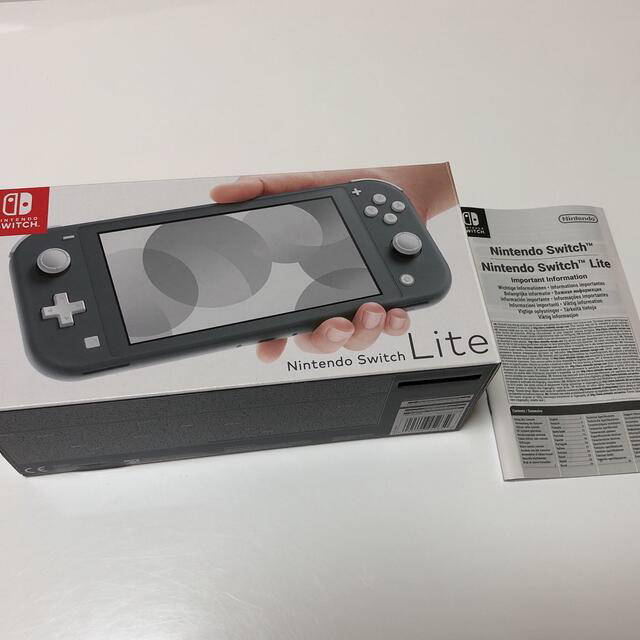 Switch LITE スイッチ ライト グレー