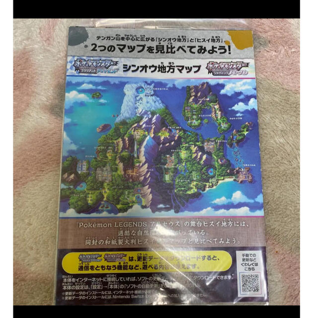 スイッチライト ディアルガ パルキア 新品未開封 任天堂 ポケモン スイッチライト ディアルガ パルキア 新品未開封 任天堂 ポケモン
