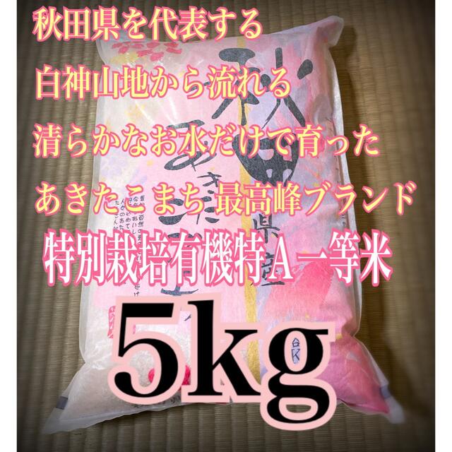 秋田県産 令和４年産 新米あきたこまち２０kg 特別栽培米 有機米 無